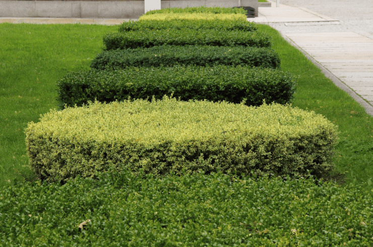 JP Hardscapes
